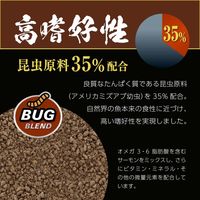 ワイルドバイト ボトム 底魚 エサ 餌 えさ 1セット（1個×3）ジェックス