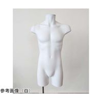 アズワン PP製 紳士トルソー M 白 67-6609-32 1個（直送品）