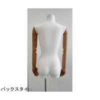 アズワン 婦人腕付きトルソー 9号 67-6609-40 1個（直送品）