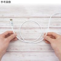 ホーリック 光ファイバー HDMIケーブル 10m 4K/60p対応モデル ホワイトケーブルタイプ HH100-770SW 1本（直送品）