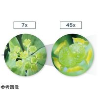 ズーム式実体顕微鏡 ズン太2 + LEDリング照明(スタンダード)+ 乾電池電源 YS02Z2+SIMPLE5+TK8 1セット（直送品）