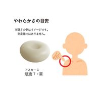 エクシール 人肌(R)のゲル原液 乳白 アスカーC0 600g HM01-34004 1セット 3-1985-12（直送品）