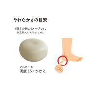 エクシール 人肌(R)のゲル原液 乳白 アスカーC0 1200g HM01-34007 1セット 3-1985-13（直送品）