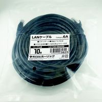 ホーリック LANケーブル UTP カテゴリー6A 10m ブラック LC100-582RB 1本 65-1793-79（直送品）