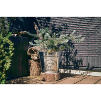 尾上製作所 イラスト入バケツ 特1号 オレンジ 218422 1個（直送品）