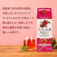 國盛 ざくろのお酒 梅酒仕立て パック　500ml 1本 中埜酒造　リキュール