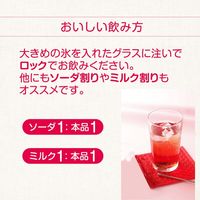 國盛 ざくろのお酒 梅酒仕立て パック　500ml 1セット（1本×12） 中埜酒造　リキュール