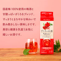 國盛 ざくろのお酒 梅酒仕立て パック　1L 1セット（1本×6） 中埜酒造　リキュール