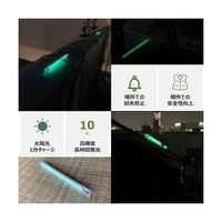 ブリッジウェル Glow HOTARU 60 1箱(2本入) GHG-S-0060 1箱(2本) 65-2584-62（直送品）