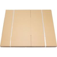 紺屋商事 段ボール 160サイズ 10枚入 01150161 1束(10枚) 65-3905-29（直送品）