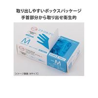 フィフティ・ヴィジョナリー ニトリルグローブ ブルー パウダーフリー L 100枚×10箱入 FV-NG-002-L 1ケース(1000枚)（直送品）