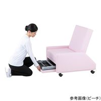 アズワン チェアベッド 730×830×940mm グレープ Chair-V 1個 9-1372-05（直送品）