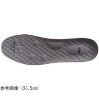 アズワン 屋内用上履きシューズTTー4000 ワイン 24.5cm 68-0983-78 1足（直送品）