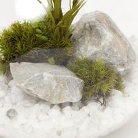 プリザーブドモス（S） ホワイト LAKOLE/ラコレ