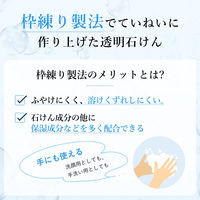 ちふれ化粧品 洗顔石けん N 90g