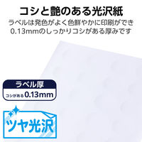 丸シール ラベルシール フォト光沢紙 強粘着 A4 24面 10シート ホワイト EDT-TWGK24R エレコム 1個