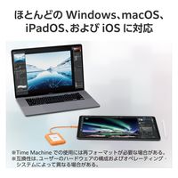 SSD 外付け 4TB ポータブル Rugged mini 耐衝撃 コンパクト STMF4000400 LaCie 1個（直送品）