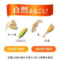 ケロッグ 素材まるごとグラノラ パリッとアーモンド やさしいはちみつ味 400g 1袋 日本ケロッグ グラノーラ
