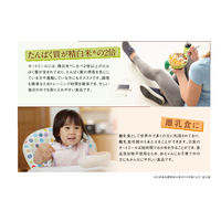 日食　プレミアムピュアオートミール　340g　1個 シリアル　フレーク　オートミール