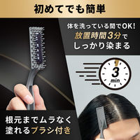 LUCIDO（ルシード） カラーリンスPRO パーフェクトブラック 120g マンダム