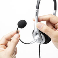 サンワサプライ USBTypeCヘッドセット MM-HSTC03SV 1個