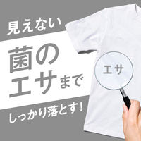 アタック抗菌EX　業務用　詰替4kg 1個 衣料用洗剤 花王 【旧品】