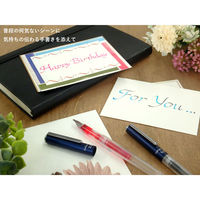 セーラー万年筆 ハイエースネオクリア カリグラフィー 1.0 12-0155-100 1本