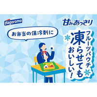 はごろもフーズ 4902560160599 1セット(6袋)（直送品）