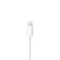 Apple純正 イヤホン ライトニング端子 iPhone用 インナーイヤー型 EarPods（Lightningコネクタ） 1個