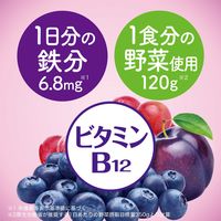伊藤園 鉄分野菜 200ml 紙パック 1セット（48本）
