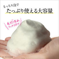 パエンナ ハトムギと酵素配合洗顔料 inクレイ＆炭＆ビタミン 200g 1個 大容量 イヴ 限定