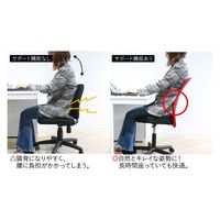 Netforce MATCH メッシュバックチェア 肘無 オフィスチェア 腰痛対策 ブラック VMC-29-AW-BK 1脚（直送品）