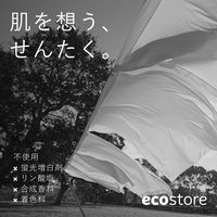 エコストア ランドリーリキッド 無香料 500mL 1個 衣料用洗剤 エコストアジャパン