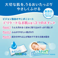 ピジョン おしりナップ やわらか厚手仕上げ 1ケース（77枚入×32コ）EC 詰め替え 1ケース 森のかくれんぼ