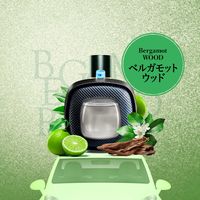 ファブリーズ 車用 イージークリップ ベルガモットウッド 1セット（1パック（2個入）×12） 消臭剤 芳香剤 P＆G