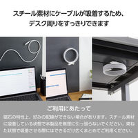 タイプCケーブル (USB-C to C) 1.5m PD 100W 磁石 白 MPA-CC5PMG15WH エレコム 1個