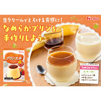 プリンエル 1セット（1箱×3） ハウス食品 製菓材 手作りお菓子