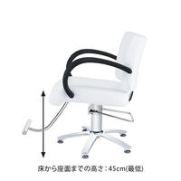 スタイリングチェア ST-629 オフホワイト (座面部分 + ベース) 特別セット 27430-SET-1 1台（直送品）