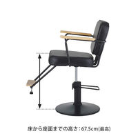 SEVEN BEAUTY (セブンビューティー) スタイリングチェア combo 100 ブラック 45245-SET-1 1台（直送品）