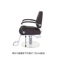SEVEN BEAUTY (セブンビューティー) スタイリングチェア REST ダークブラウン 37411 1台（直送品）