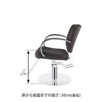 SEVEN BEAUTY (セブンビューティー) スタイリングチェア CURVE ダークブラウン 37410 1台（直送品）