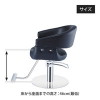 SEVEN BEAUTY (セブンビューティー) スタイリングチェア MILANO ブラック 44639 1台（直送品）