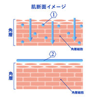 ニベア リペアエキスパート 薬用ボディミルク 乾燥肌用 350ml 花王