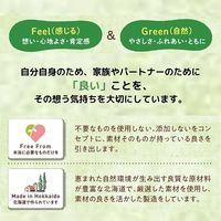 日食 Feel&Green おいしいコーンフレーク　ビターなチョコレート 140g　1袋 コーンフレーク 日本食品製造
