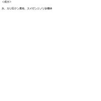 CHINOWA 泡で出てくるボディソープ 大容量つめかえ用 1500mlL 地の塩社 【泡タイプ】