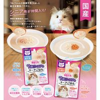 キャティーマン 猫 シニア用 ねこちゃんの国産牛乳を使ったスープごはん ささみ＆サーモン 国産 40g 5袋 ドギーマンハヤシ