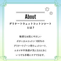 オーカ デリケートウェットコットンシート 15枚入 1セット（1個×2）大一紙工