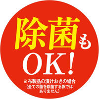 グラフィコ オキシクリーン つめかえ用 1000g 4571169854552 1セット(1個×10)