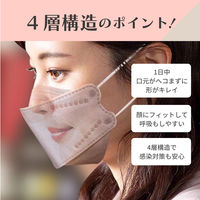 錦尚金 BRILLIANTMAKEUP MASK 3D立体型00 28枚 4582559942940 1箱(40個入)（直送品）