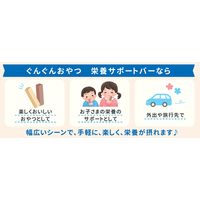 【1歳半頃から】ぐんぐんおやつ 栄養サポートバー ミルクココア味 1セット（1袋×3） アサヒグループ食品